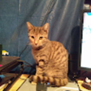 Meet your Posher, Cantwell